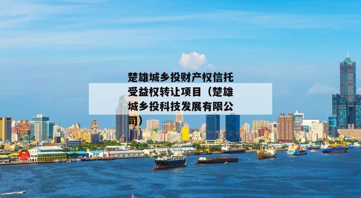 楚雄城乡投财产权信托受益权转让项目（楚雄城乡投科技发展有限公司）