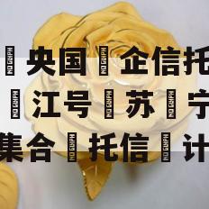 中‮央国‬企信托-130‮江号‬苏‮宁阜‬集合‮托信‬计划