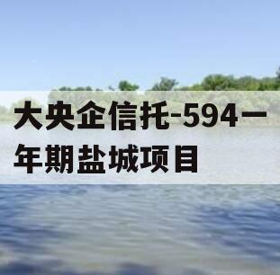 大央企信托-594一年期盐城项目