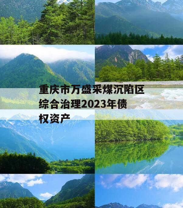 重庆市万盛采煤沉陷区综合治理2023年债权资产 重庆市万盛采煤沉陷区综合治理2023年债权资产