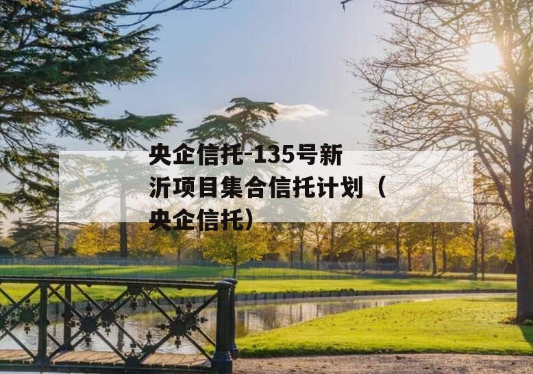 央企信托-135号新沂项目集合信托计划（央企信托）