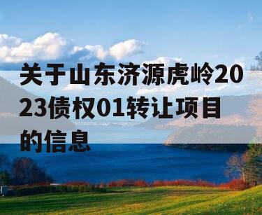 关于山东济源虎岭2023债权01转让项目的信息
