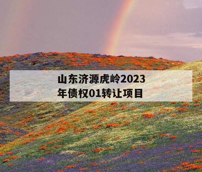 山东济源虎岭2023年债权01转让项目