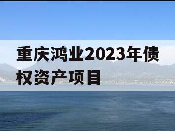 重庆鸿业2023年债权资产项目