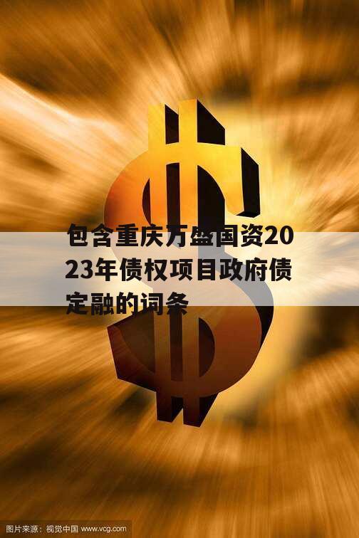 包含重庆万盛国资2023年债权项目政府债定融的词条