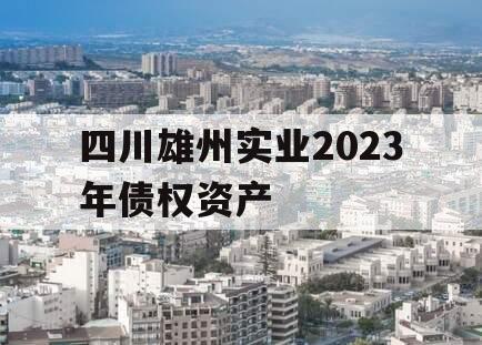 四川雄州实业2023年债权资产 四川雄州实业2023年债权资产