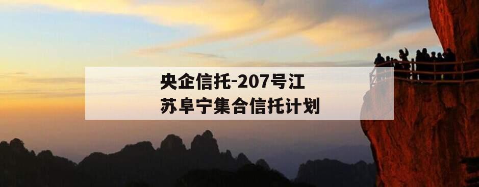 央企信托-207号江苏阜宁集合信托计划