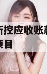 咸阳新控应收账款债权转让项目