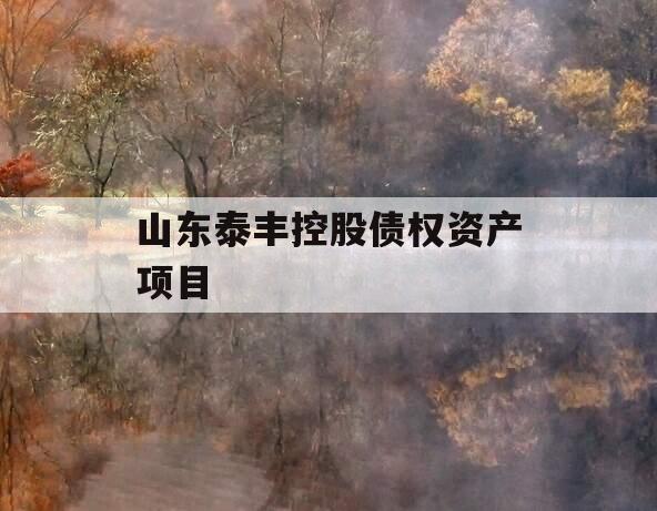 山东泰丰控股债权资产项目 山东泰丰控股债权资产项目