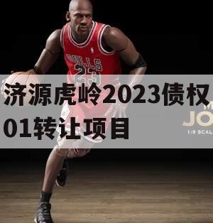 济源虎岭2023债权01转让项目