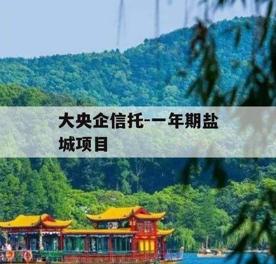 大央企信托-一年期盐城项目