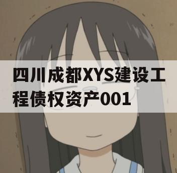 四川成都XYS建设工程债权资产001