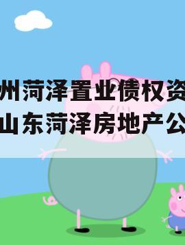 滨州菏泽置业债权资产（山东菏泽房地产公司）
