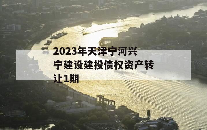 2023年天津宁河兴宁建设建投债权资产转让1期 2023年天津宁河兴宁建设建投债权资产转让1期