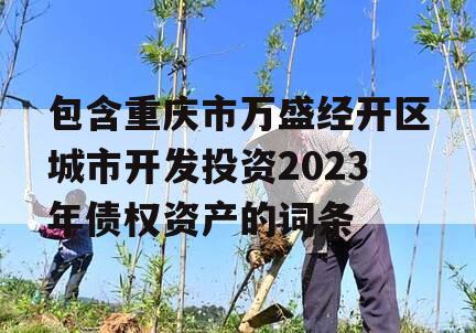包含重庆市万盛经开区城市开发投资2023年债权资产的词条