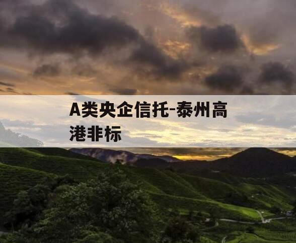 A类央企信托-泰州高港非标