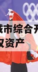 枣庄城市综合开发2023债权资产