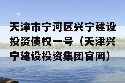 天津市宁河区兴宁建设投资债权一号（天津兴宁建设投资集团官网）