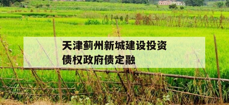 天津蓟州新城建设投资债权政府债定融