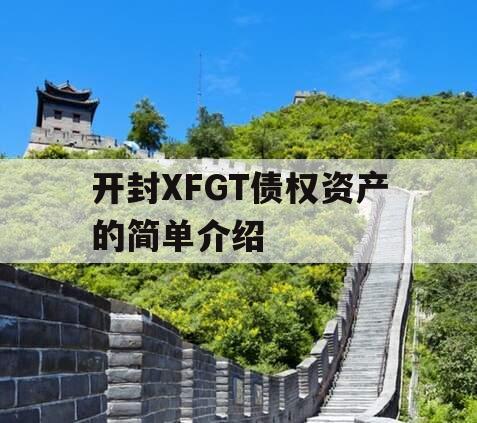 开封XFGT债权资产的简单介绍