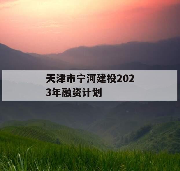 天津市宁河建投2023年融资计划 天津市宁河建投2023年融资计划