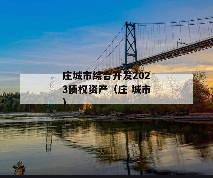 庄城市综合开发2023债权资产（庄 城市）