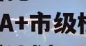 大业信托—48号湖南郴州AA+市级标债集合信托计划