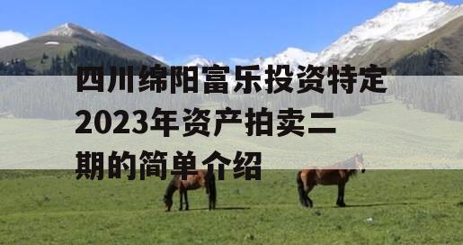 四川绵阳富乐投资特定2023年资产拍卖二期的简单介绍