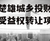 包含楚雄城乡投财产权信托受益权转让项目的词条
