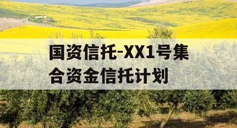 国资信托-XX1号集合资金信托计划