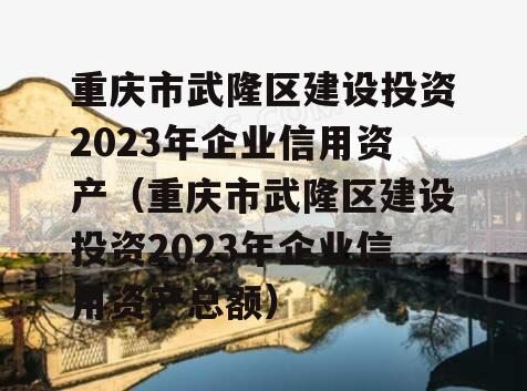 重庆市武隆区建设投资2023年企业信用资产（重庆市武隆区建设投资2023年企业信用资产总额）