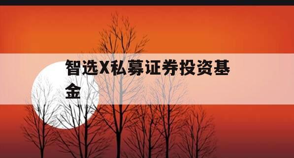 智选X私募证券投资基金
