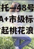 大业信托—48号湖南郴州AA+市级标债（鳜鱼吹起桃花浪什么意思）