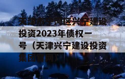 天津市宁河区兴宁建设投资2023年债权一号（天津兴宁建设投资集团官网）