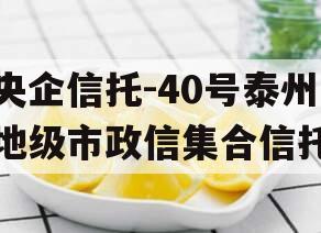 央企信托-40号泰州地级市政信集合信托
