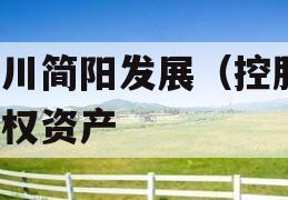 四川简阳发展（控股）债权资产
