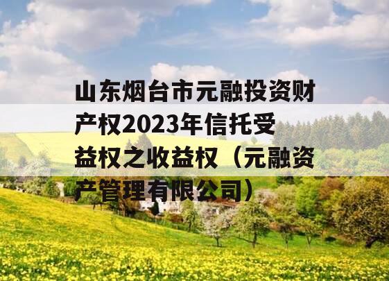 山东烟台市元融投资财产权2023年信托受益权之收益权（元融资产管理有限公司）