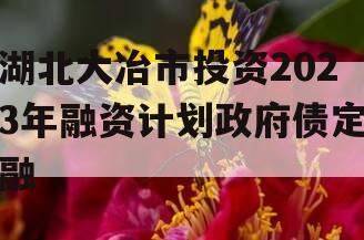 湖北大冶市投资2023年融资计划政府债定融