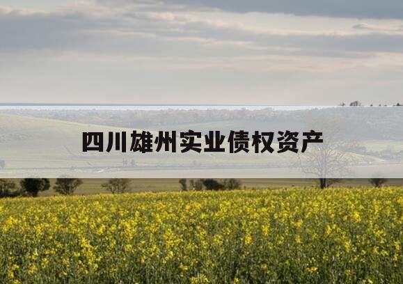 四川雄州实业债权资产 四川雄州实业债权资产