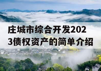 庄城市综合开发2023债权资产的简单介绍