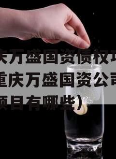 重庆万盛国资债权项目（重庆万盛国资公司债权项目有哪些）