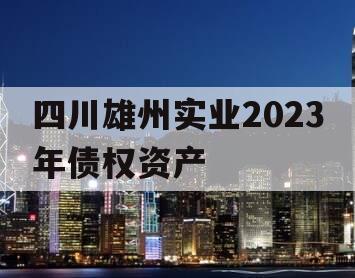 四川雄州实业2023年债权资产