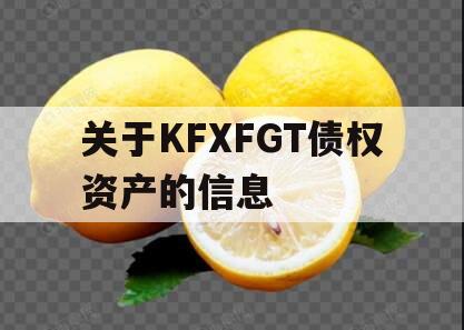 关于KFXFGT债权资产的信息