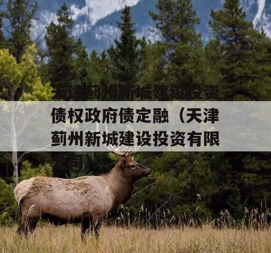 天津蓟州新城建设投资债权政府债定融（天津蓟州新城建设投资有限公司）