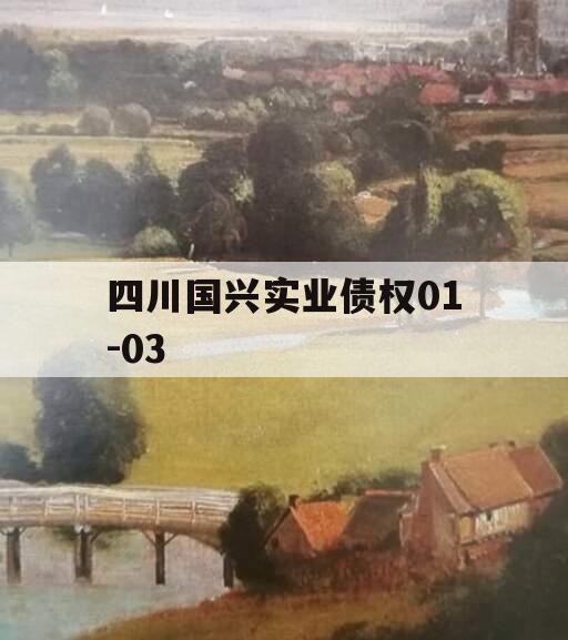 四川国兴实业债权01-03