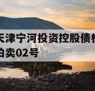天津宁河投资控股债权拍卖02号 天津宁河投资控股债权拍卖02号