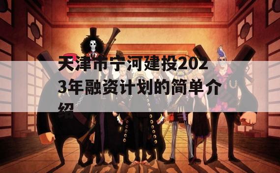 天津市宁河建投2023年融资计划的简单介绍