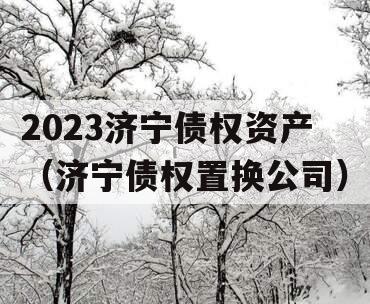 2023济宁债权资产（济宁债权置换公司）