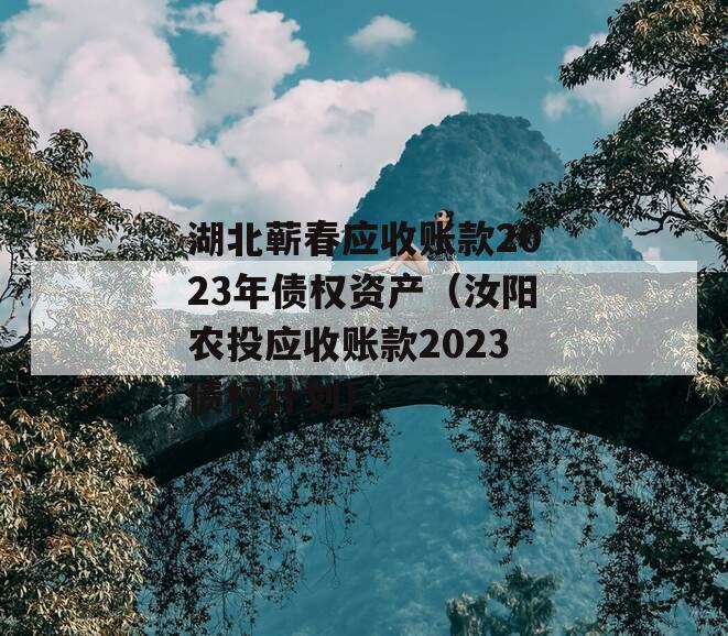 湖北蕲春应收账款2023年债权资产（汝阳农投应收账款2023债权计划）