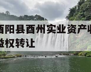 酉阳县酉州实业资产收益权转让